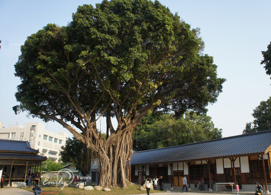 台中刑務所演武場安靜喝茶的小書房 台中市西區林森路33號 希理呼嚕的貓 痞客邦