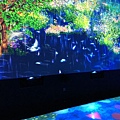 teamlab (25).JPG