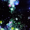 teamlab (31).jpg