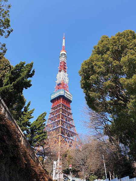 20190218東京鐵塔