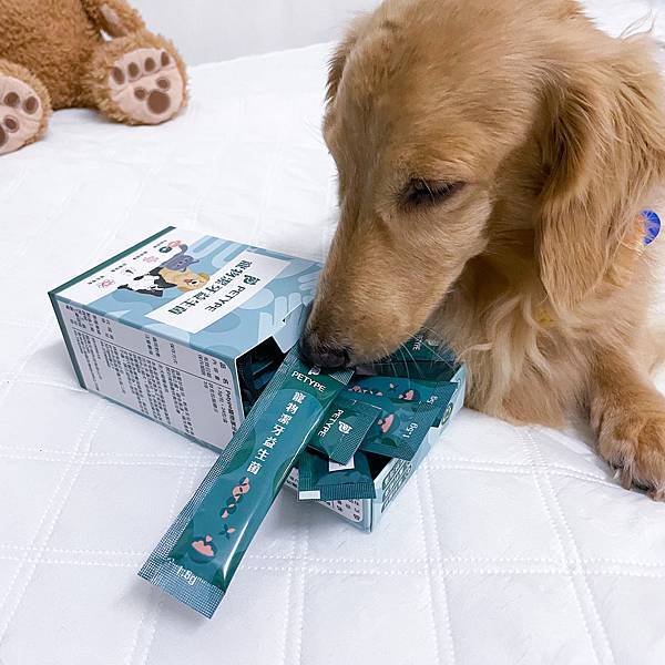 Petype寵物潔牙益生菌、機能羊奶粉推薦讓毛小孩吃得健康