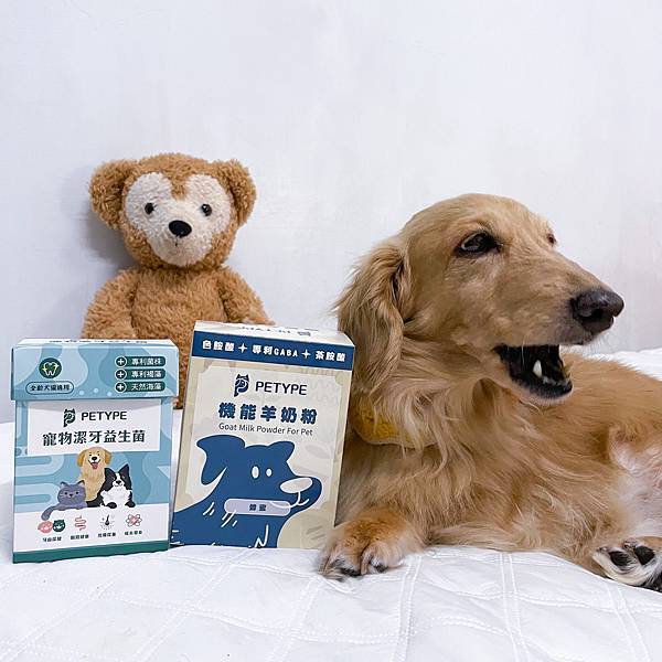Petype寵物潔牙益生菌、機能羊奶粉推薦讓毛小孩吃得健康