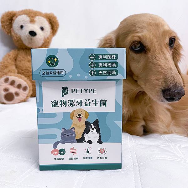 Petype寵物潔牙益生菌、機能羊奶粉推薦讓毛小孩吃得健康