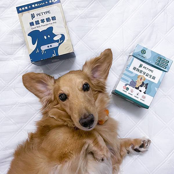 Petype寵物潔牙益生菌、機能羊奶粉推薦讓毛小孩吃得健康