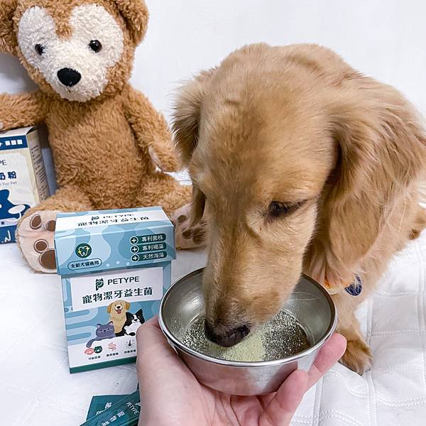 Petype寵物潔牙益生菌、機能羊奶粉推薦讓毛小孩吃得健康