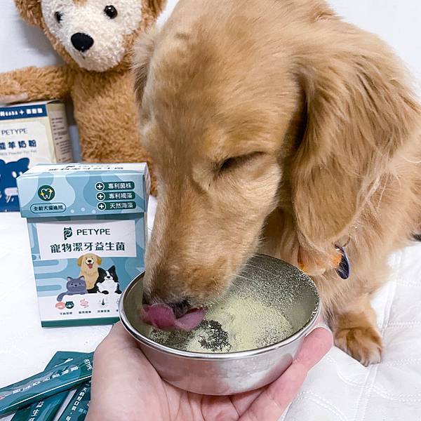 Petype寵物潔牙益生菌、機能羊奶粉推薦讓毛小孩吃得健康