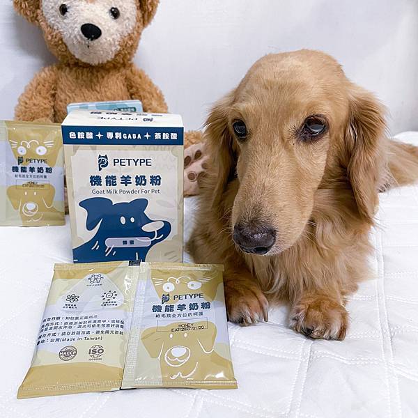 Petype寵物潔牙益生菌、機能羊奶粉推薦讓毛小孩吃得健康