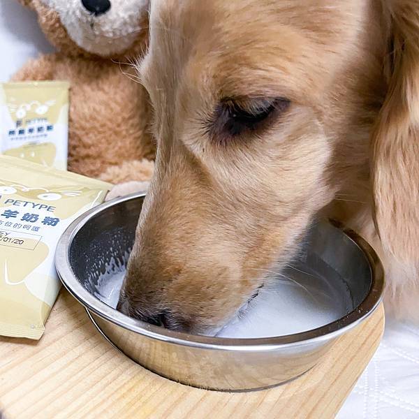 Petype寵物潔牙益生菌、機能羊奶粉推薦讓毛小孩吃得健康