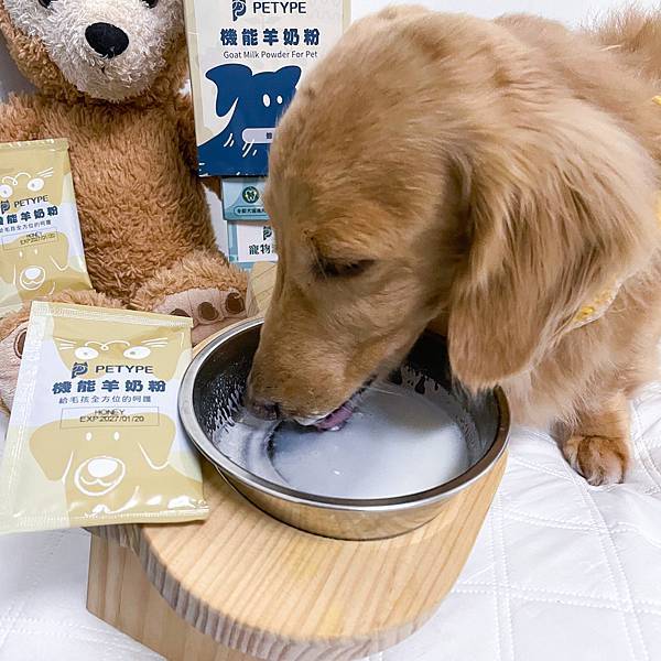Petype寵物潔牙益生菌、機能羊奶粉推薦讓毛小孩吃得健康