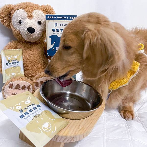 Petype寵物潔牙益生菌、機能羊奶粉推薦讓毛小孩吃得健康