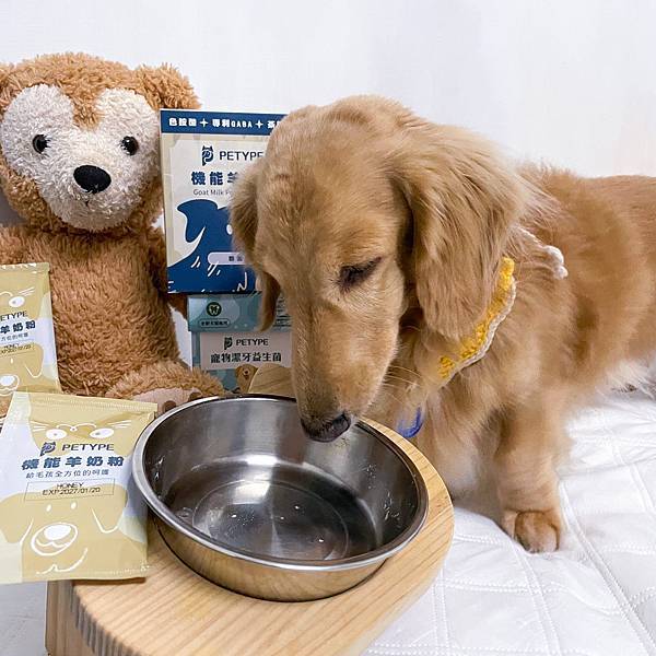 Petype寵物潔牙益生菌、機能羊奶粉推薦讓毛小孩吃得健康