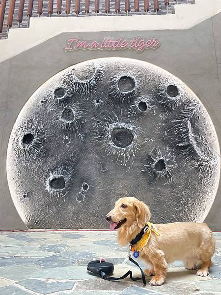 桃園景點介紹KIRI國際原住民族文創園區,好玩好拍桃園新景 桃園景點介紹KIRI國際原住民族文創園區,好玩好拍桃園新景