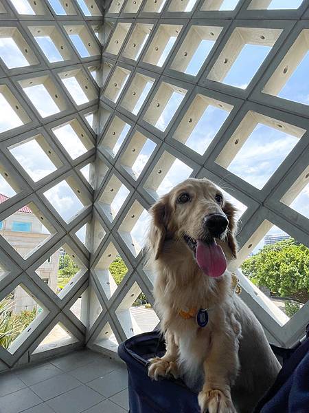 桃園景點介紹KIRI國際原住民族文創園區,好玩好拍桃園新景 桃園景點介紹KIRI國際原住民族文創園區,好玩好拍桃園新景