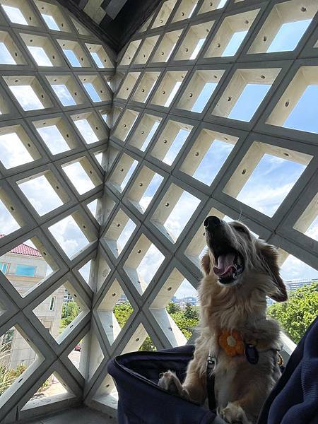 桃園景點介紹KIRI國際原住民族文創園區,好玩好拍桃園新景 桃園景點介紹KIRI國際原住民族文創園區,好玩好拍桃園新景