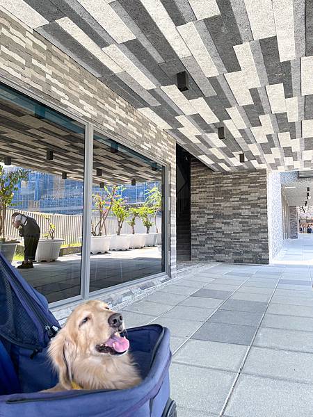 桃園景點介紹KIRI國際原住民族文創園區,好玩好拍桃園新景 桃園景點介紹KIRI國際原住民族文創園區,好玩好拍桃園新景