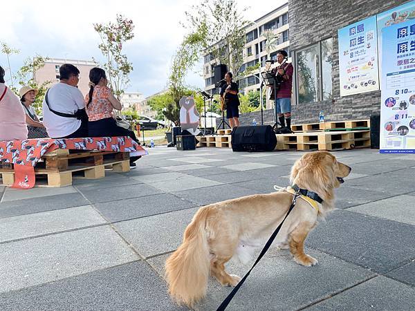 桃園景點介紹KIRI國際原住民族文創園區,好玩好拍桃園新景 桃園景點介紹KIRI國際原住民族文創園區,好玩好拍桃園新景
