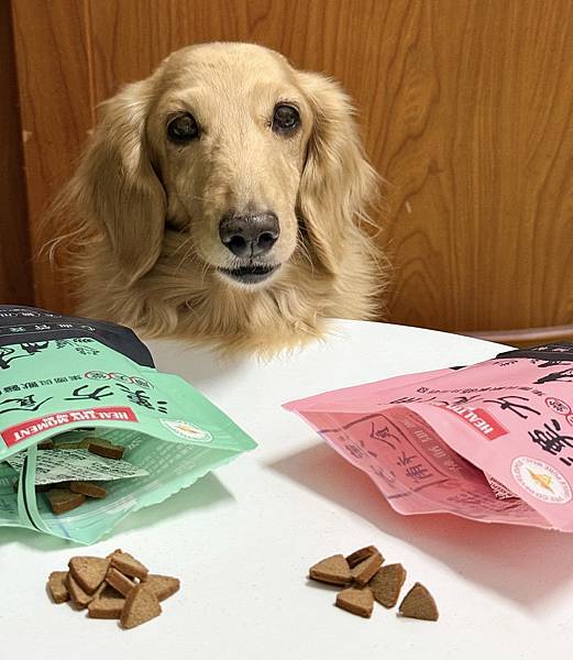 關健時刻-漢方食補,帶給熟齡挑嘴毛孩的漢方養生大補帖!適口性