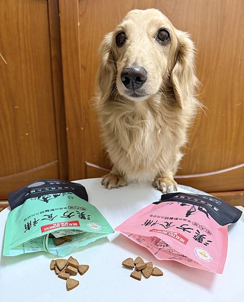 關健時刻-漢方食補,帶給熟齡挑嘴毛孩的漢方養生大補帖!適口性