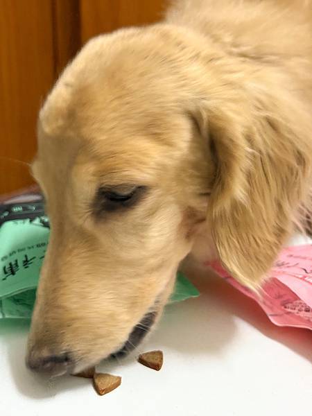 關健時刻-漢方食補,帶給熟齡挑嘴毛孩的漢方養生大補帖!適口性