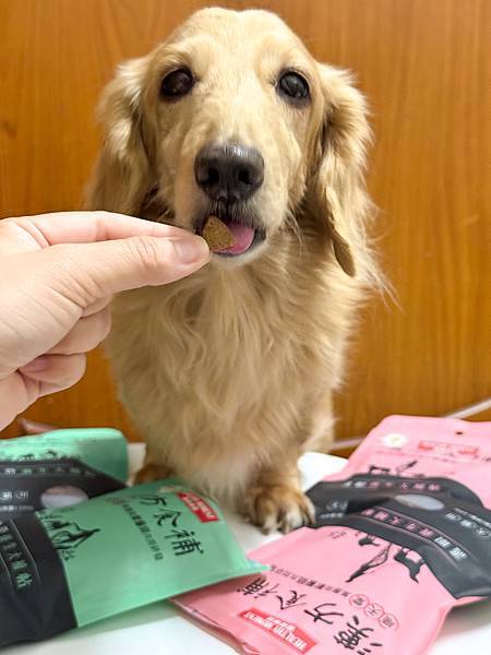 關健時刻-漢方食補,帶給熟齡挑嘴毛孩的漢方養生大補帖!適口性