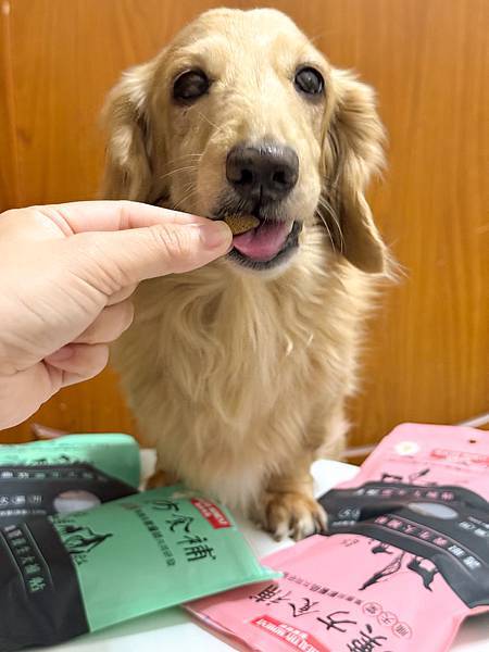 關健時刻-漢方食補,帶給熟齡挑嘴毛孩的漢方養生大補帖!適口性