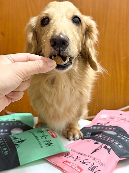 關健時刻-漢方食補,帶給熟齡挑嘴毛孩的漢方養生大補帖!適口性
