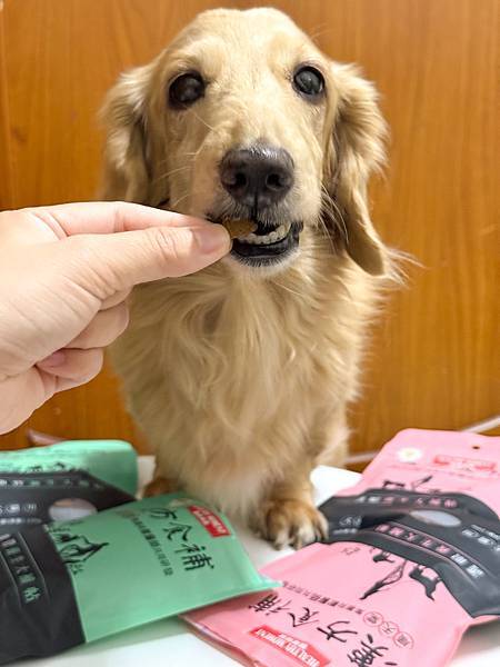 關健時刻-漢方食補,帶給熟齡挑嘴毛孩的漢方養生大補帖!適口性