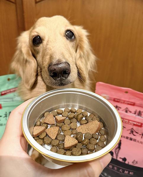 關健時刻-漢方食補,帶給熟齡挑嘴毛孩的漢方養生大補帖!適口性