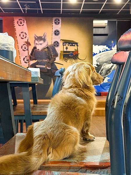 寵物友善餐廳推薦桃園八德美食、桃園居酒屋推薦–船饕大漁居酒