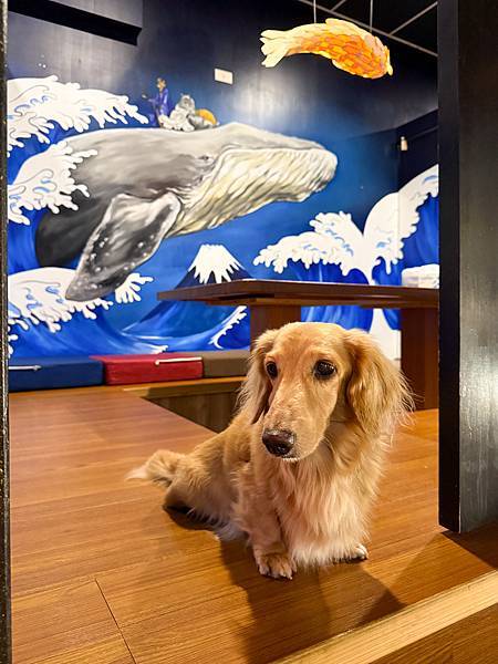 寵物友善餐廳推薦桃園八德美食、桃園居酒屋推薦–船饕大漁居酒