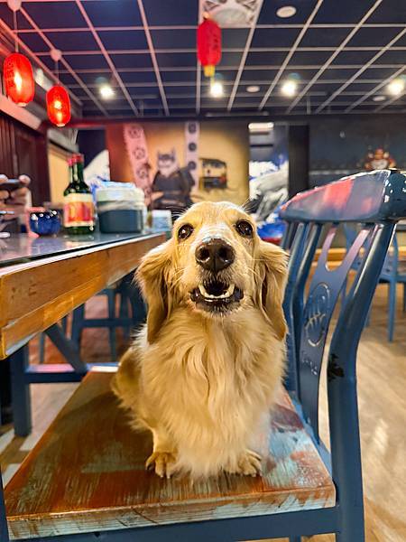 寵物友善餐廳推薦桃園八德美食、桃園居酒屋推薦–船饕大漁居酒