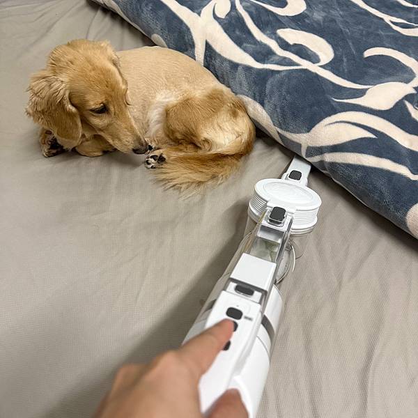 TiDdi雙氣旋除蟎吸塵器S360吸塵除蟎剋星!還給毛孩跟 TiDdi雙氣旋除蟎吸塵器S360吸塵除蟎剋星!還給毛孩跟