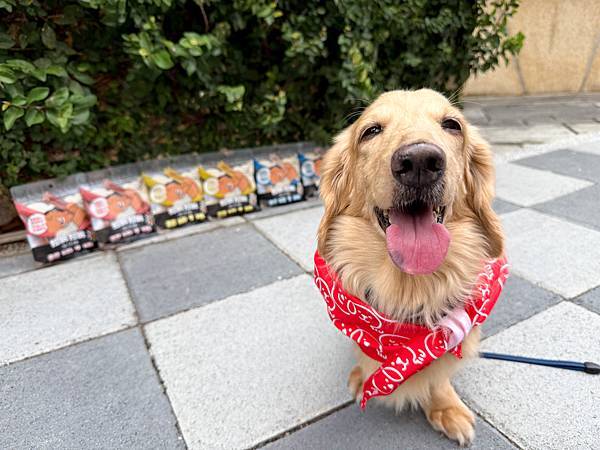 寵物潔牙推薦毛起來-阿姆阿姆潔牙棒 超級1棒,兼具保健潔牙 寵物潔牙推薦毛起來-阿姆阿姆潔牙棒 超級1棒,兼具保健潔牙