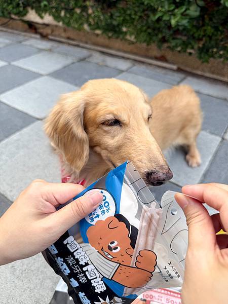 組圖9.jpg 組圖9.jpg