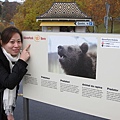 伯恩(bern)熊公園