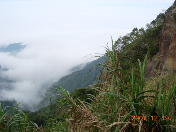 DSCN5490.JPG