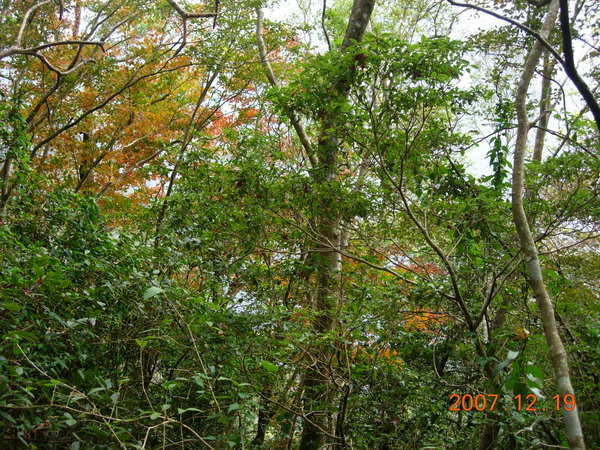 DSCN5535.JPG