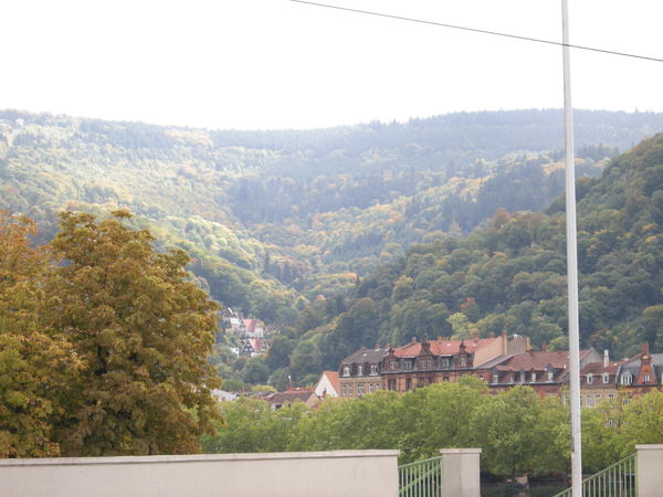 DSCN0279.JPG