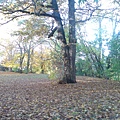 DSC00536.JPG