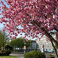 DSCN8126.JPG