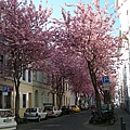DSCN8134.JPG