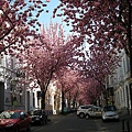 DSCN8136.JPG