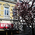 DSCN8138.JPG