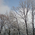 DSC00746.JPG