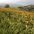 六十石山_170904_0076.jpg