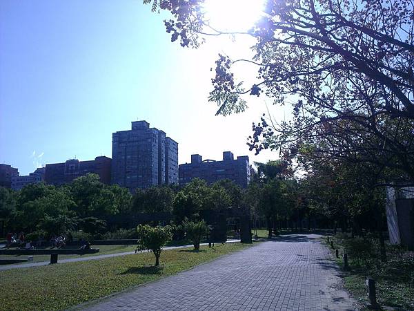 綠 綠