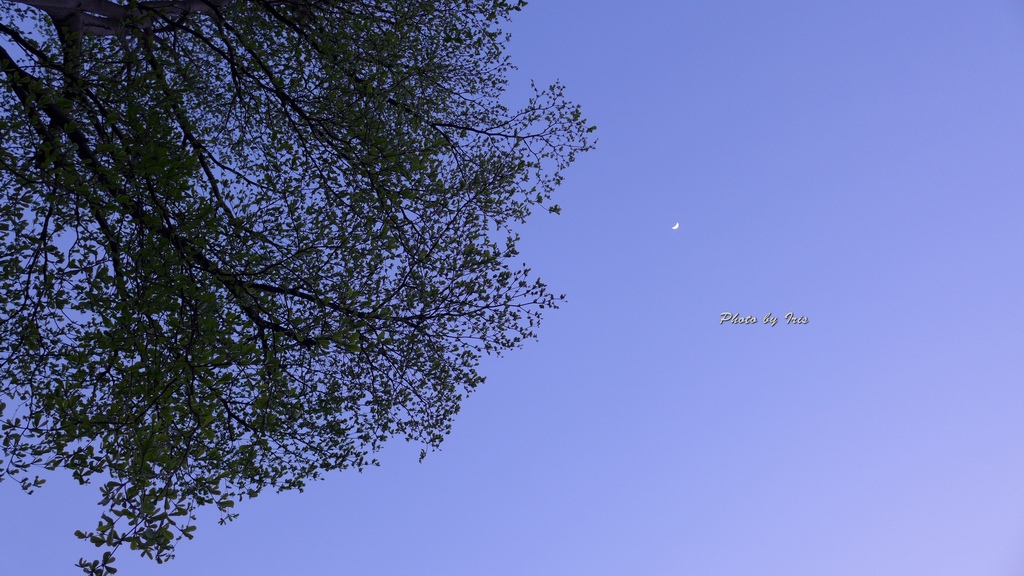 04012B 04012B