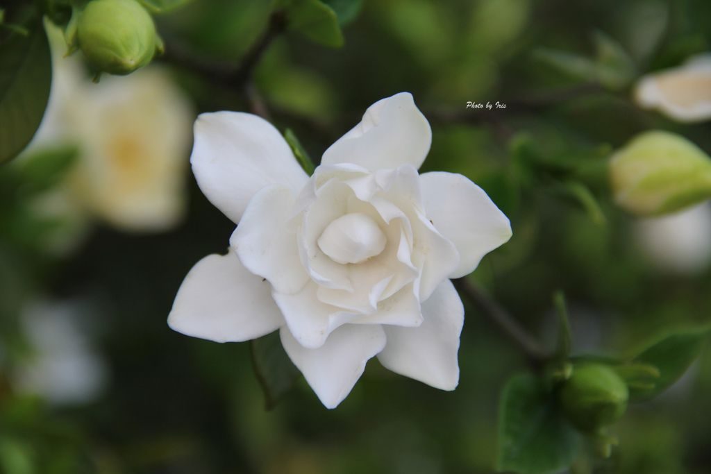 0606D 0606D