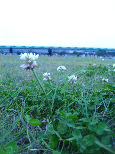 攝/大佳河濱公園