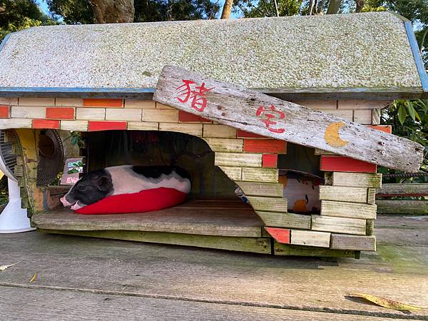 南投景點「星月天空」夏日夕陽超美-親子園區-情侶約會景觀餐廳